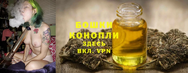 стаф Осинники